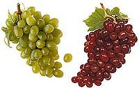 Grapes