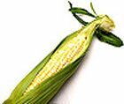 Image of Sweet Corn