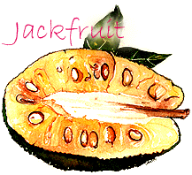 jackfruit