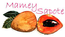 mamey sapote