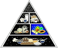 food pyramid